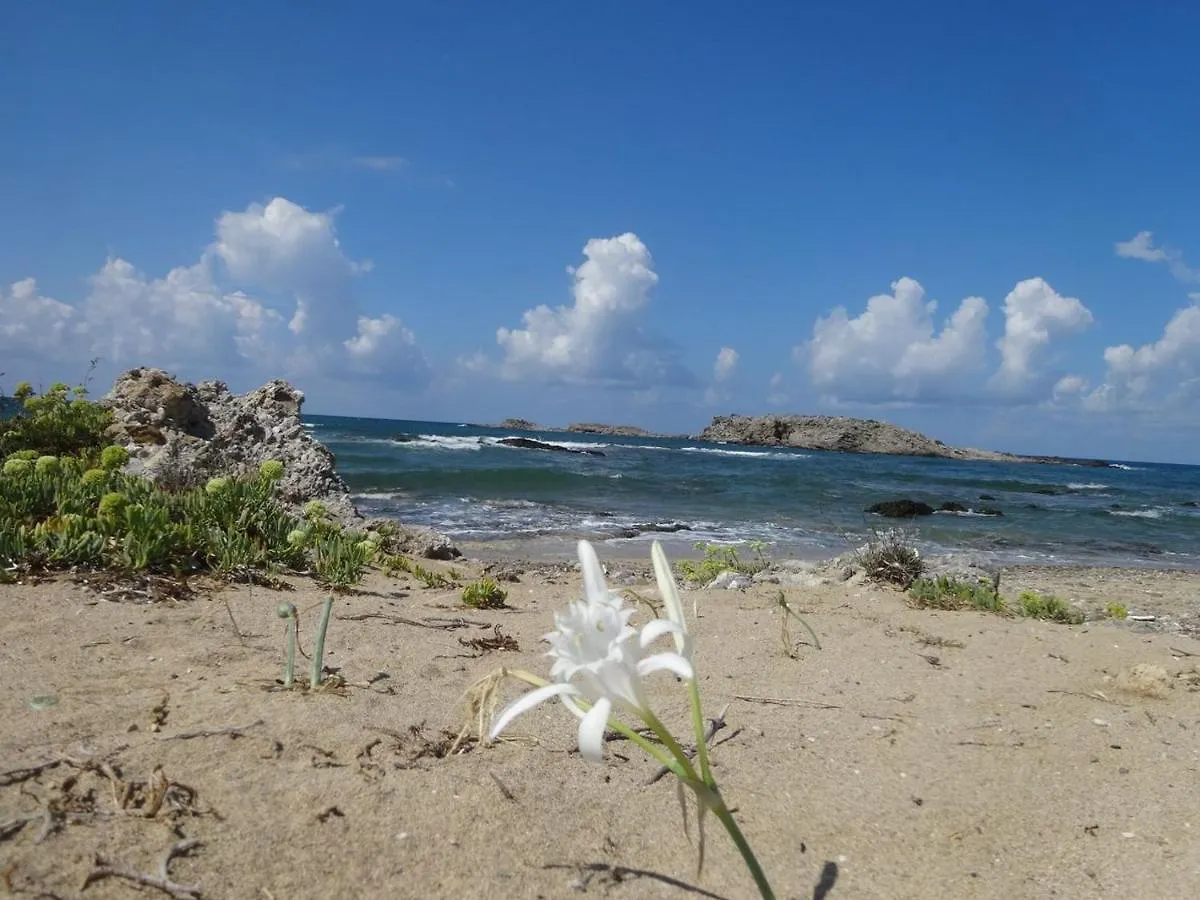 Julies Apartments Kokkini Hani